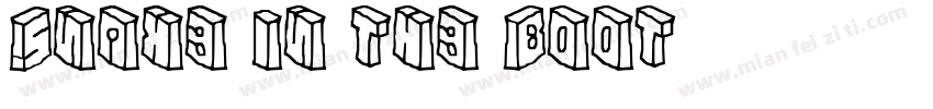 Snake in the Boot字体转换
